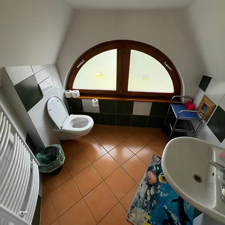 Gasthuis U Pejtrika 4*