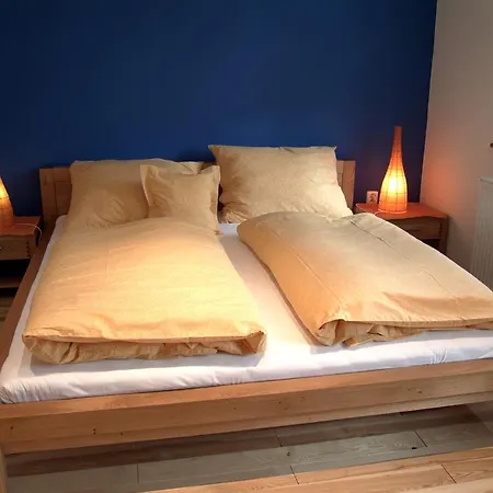 Gasthuis U Pejtrika 4*