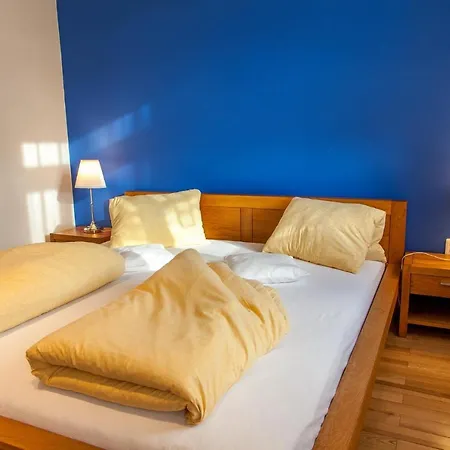 Gasthuis U Pejtrika 4*